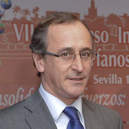 Alfonso Alonso Aranegui