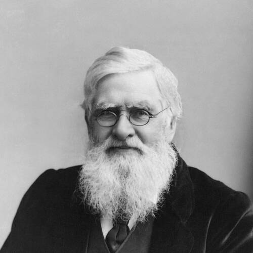 Alfred Russel Wallace