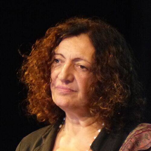 Ana Falú