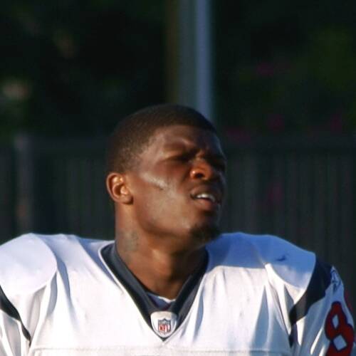Andre Johnson