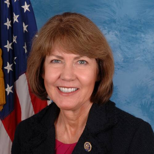 Ann Kirkpatrick