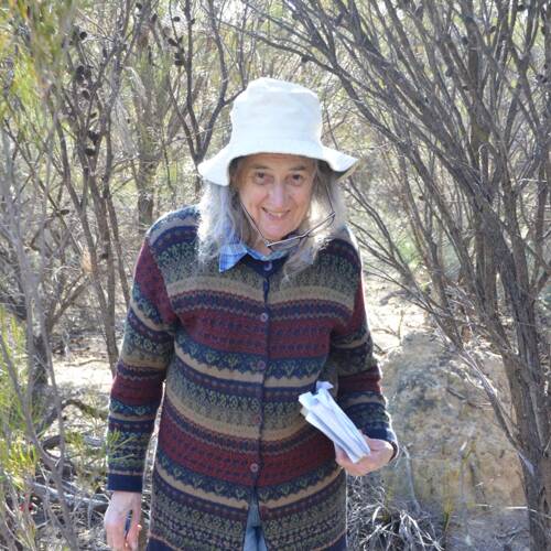Barbara York Main
