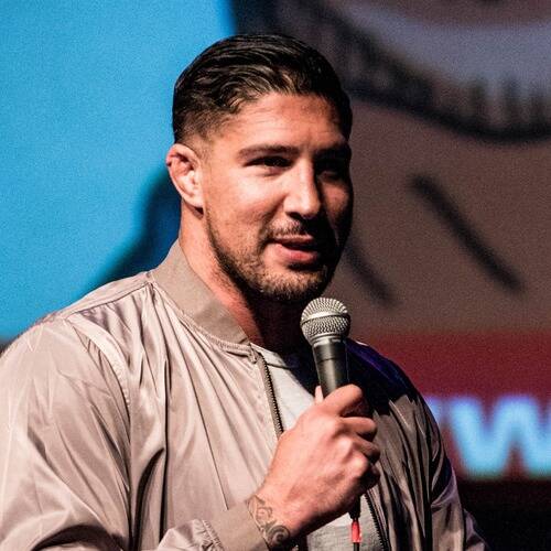 Brendan Schaub