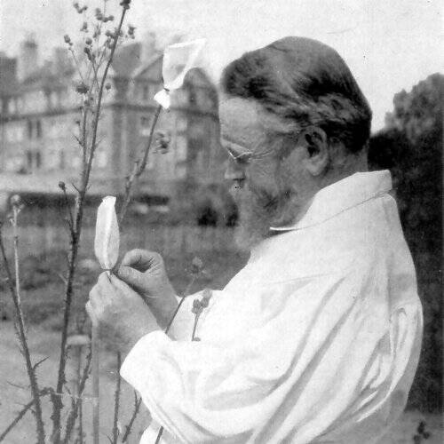 Carl Correns