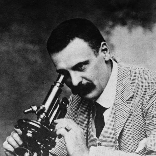 Charles Donovan