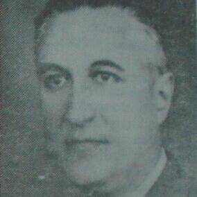 Costin Nenițescu