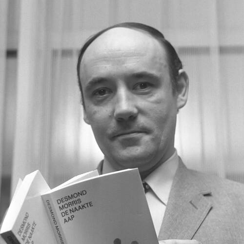 Desmond Morris