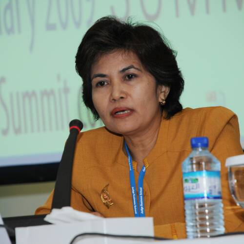 Dewi Fortuna Anwar