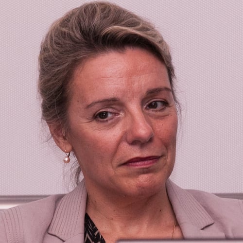 Divina Frau-Meigs