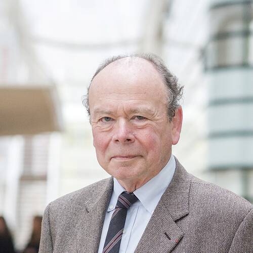 Dominique Perrin