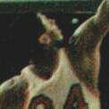 Don Chaney