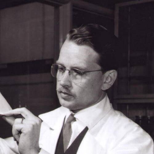 Erik Wallenberg