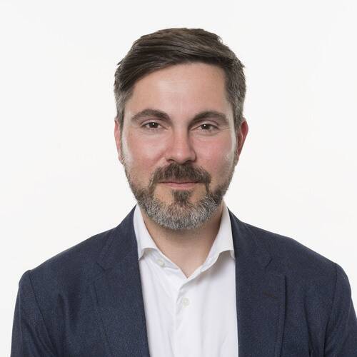 Fabio De Masi