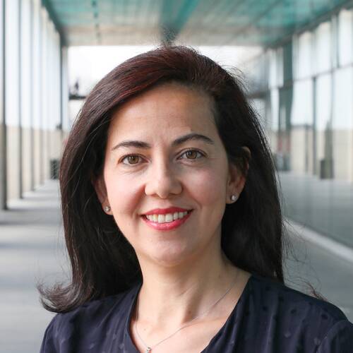Hatice Altug
