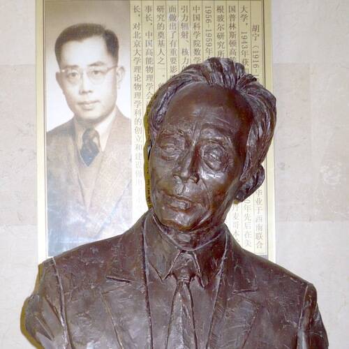 Hu Ning