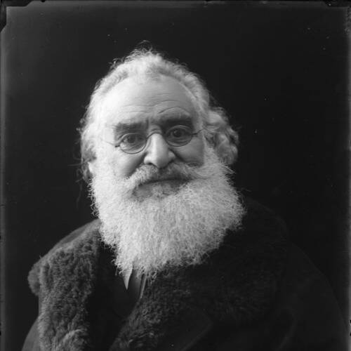 Hugo Schiff