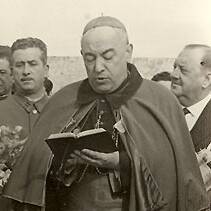 José Bueno y Monreal
