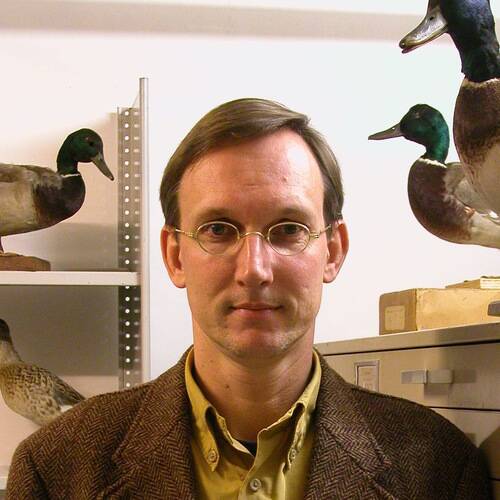 Kees Moeliker