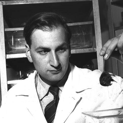 Leo Sachs