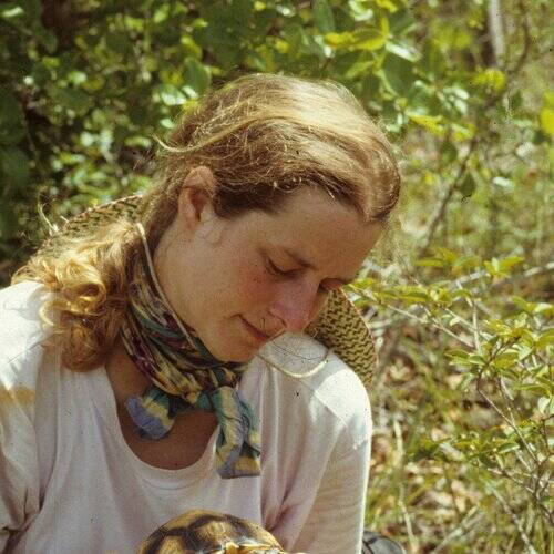 Liz Howe