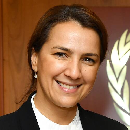 Mariam Almheiri