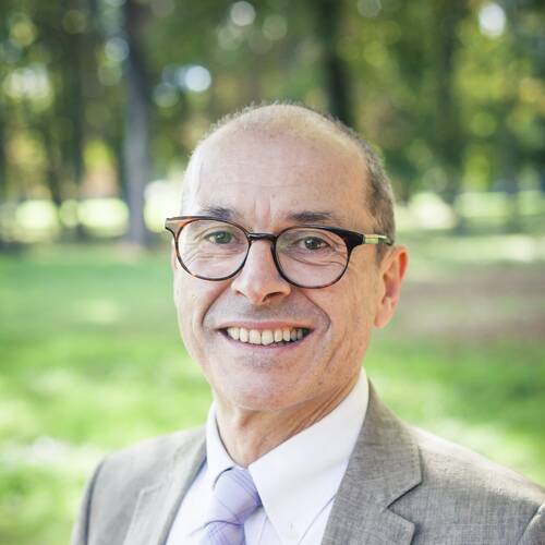 Mario d'Angelo