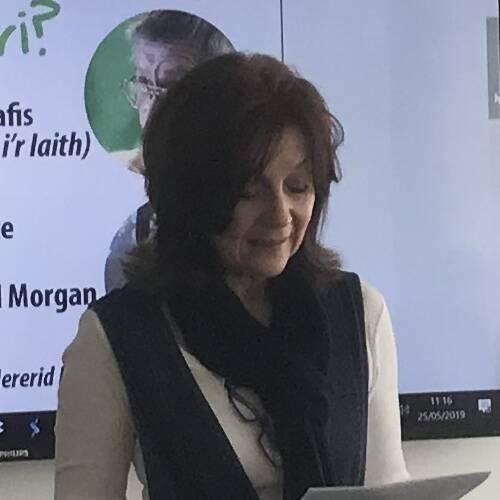 Mererid Hopwood