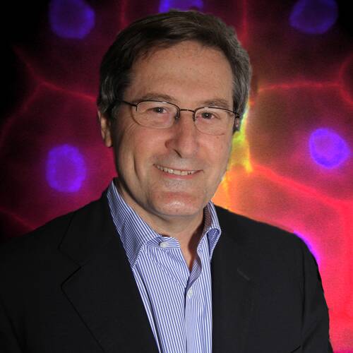 Michael N. Hall