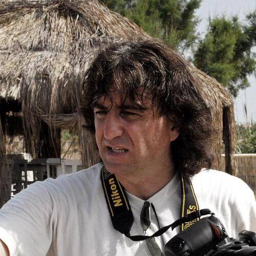Niko Guido