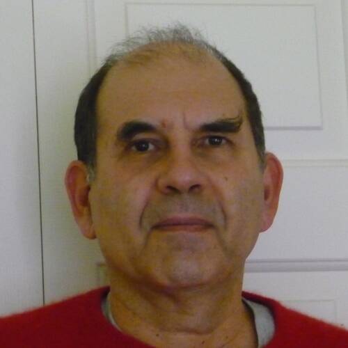 Nikos Salingaros