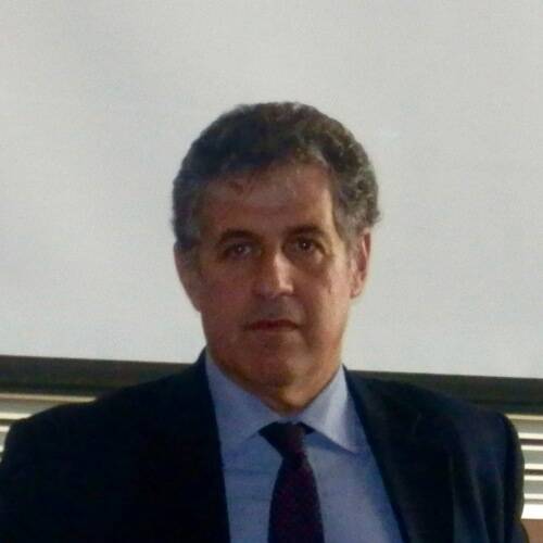 Nino Di Matteo