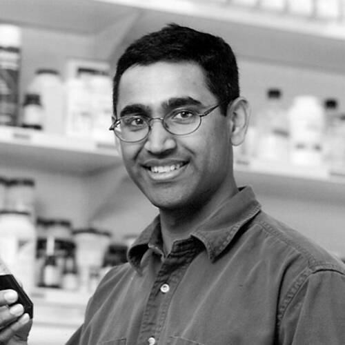 Ramanujan Shankar Hegde