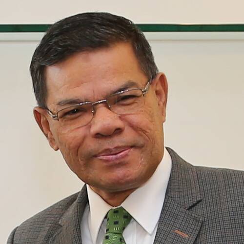 Saifuddin Nasution Ismail