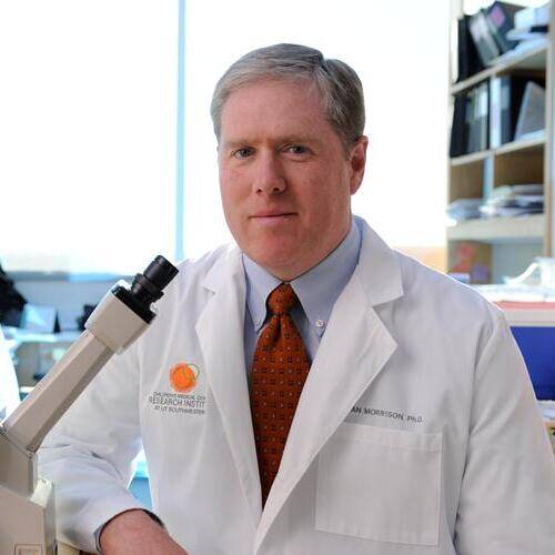 Sean J. Morrison