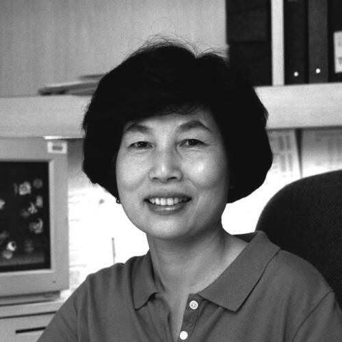 Sheue-yann Cheng