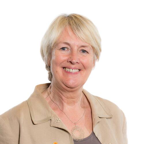 Siân Gwenllian