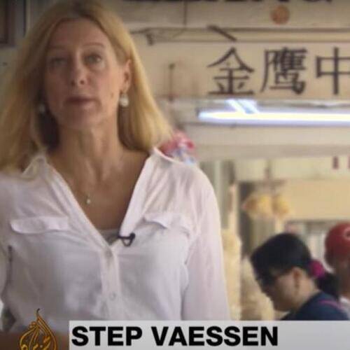 Step Vaessen