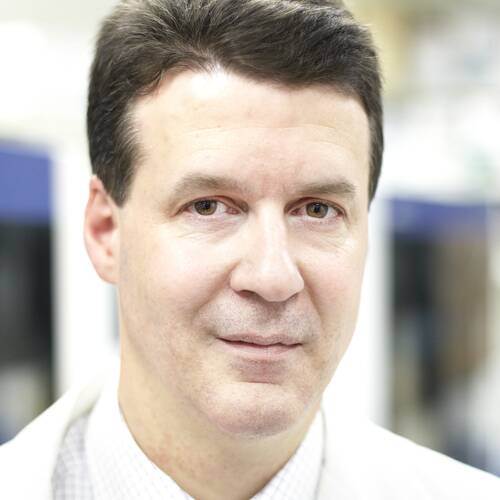 Stephen W. Scherer