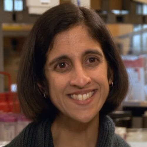 Tejal A. Desai