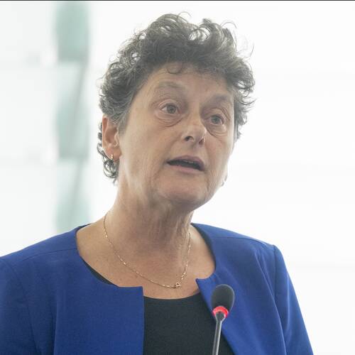 Tineke Strik