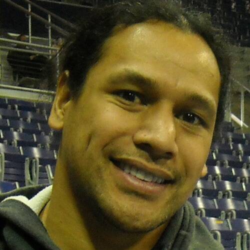 Troy Polamalu
