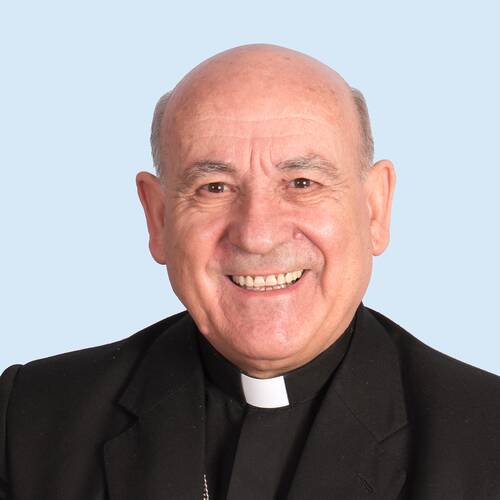 Vicente Jiménez Zamora