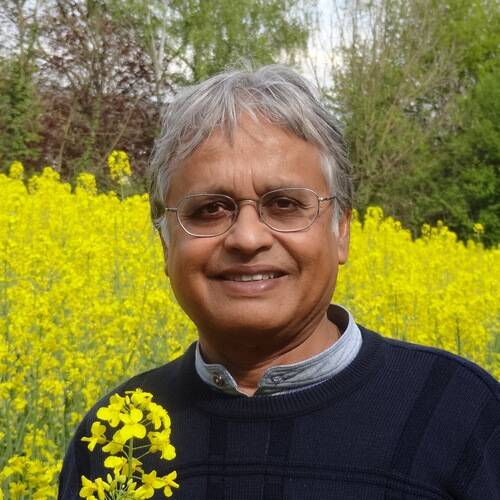 Vinod Chohan