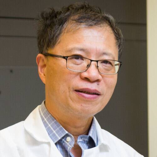 Wei Zheng