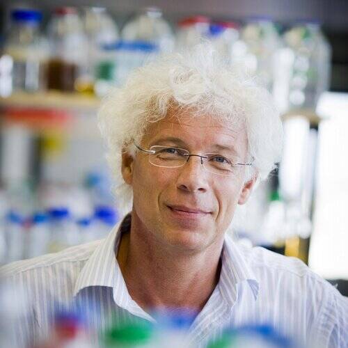 Willem de Vos