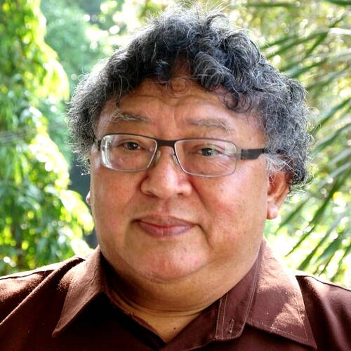 Wimar Witoelar