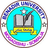 Benadir University logo