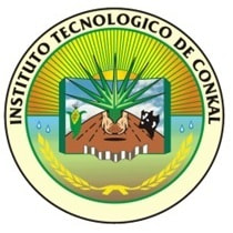 Conkal Institute of Technology logo